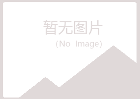 临川夏岚能源有限公司